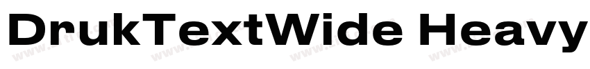 DrukTextWide Heavy字体转换